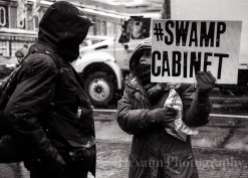 Swamp Cabinet